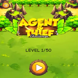 Agent & Thief Challenge