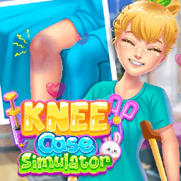 Knee Case Simulator