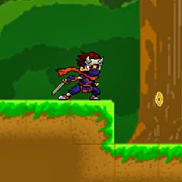 Ninja Warrior Adventure