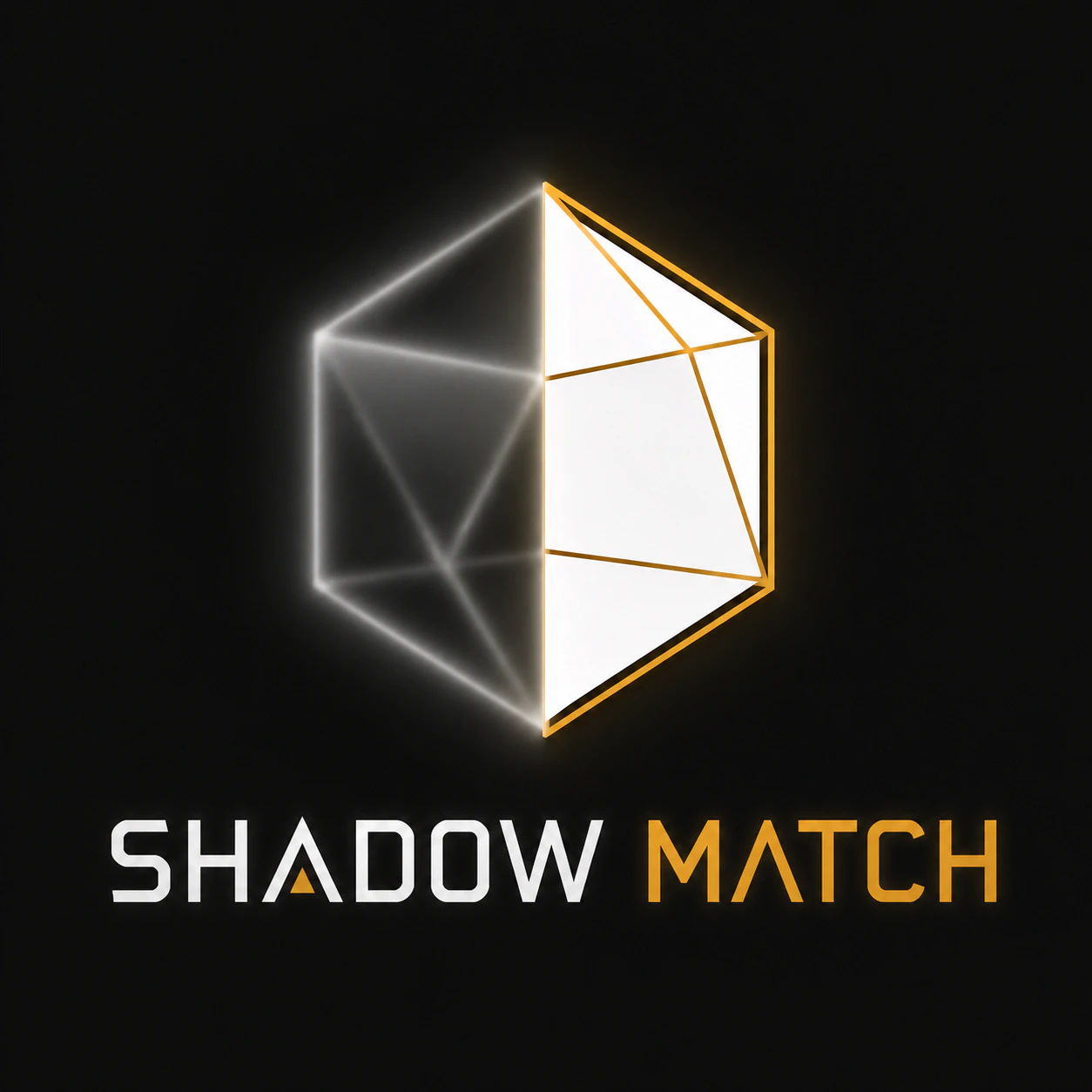 Shadow Match