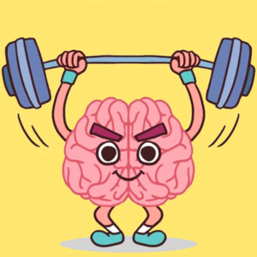 Perfect Brain 3D Puzzle