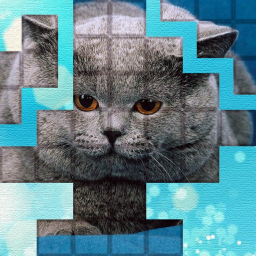 PicPu – Cat Puzzle
