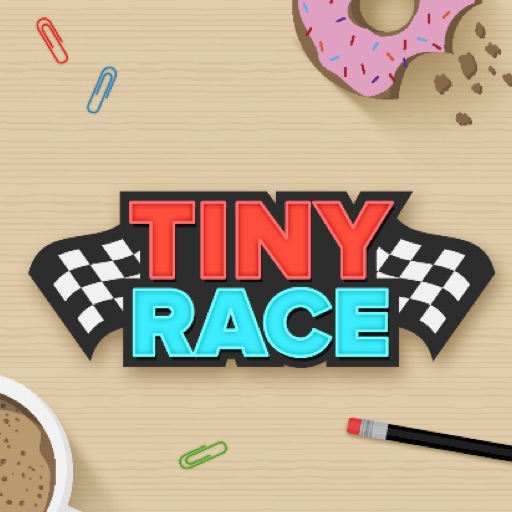 Tiny Race – Toy Car Racing