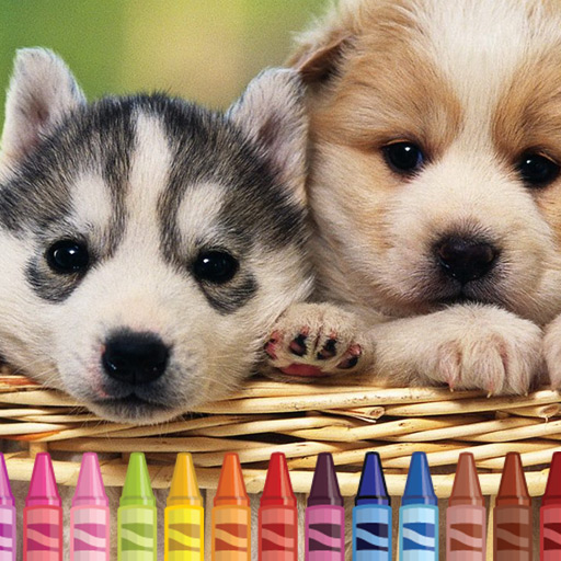 4GameGround – Puppy Coloring