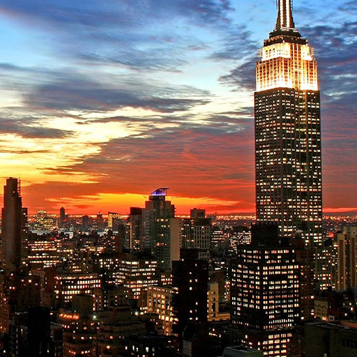 New York Jigsaw Puzzle Collection