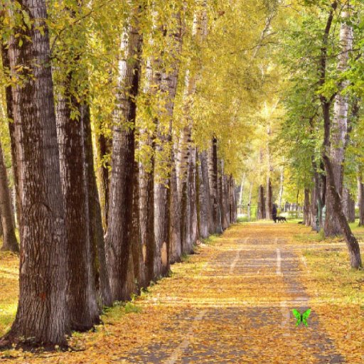 Autumn Garden – Find 100 butterflies