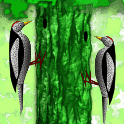 Little Woodpecker